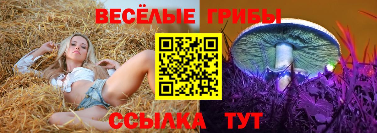Дубна  Галлюциногенные грибы прущие грибы  Вход с VPN 